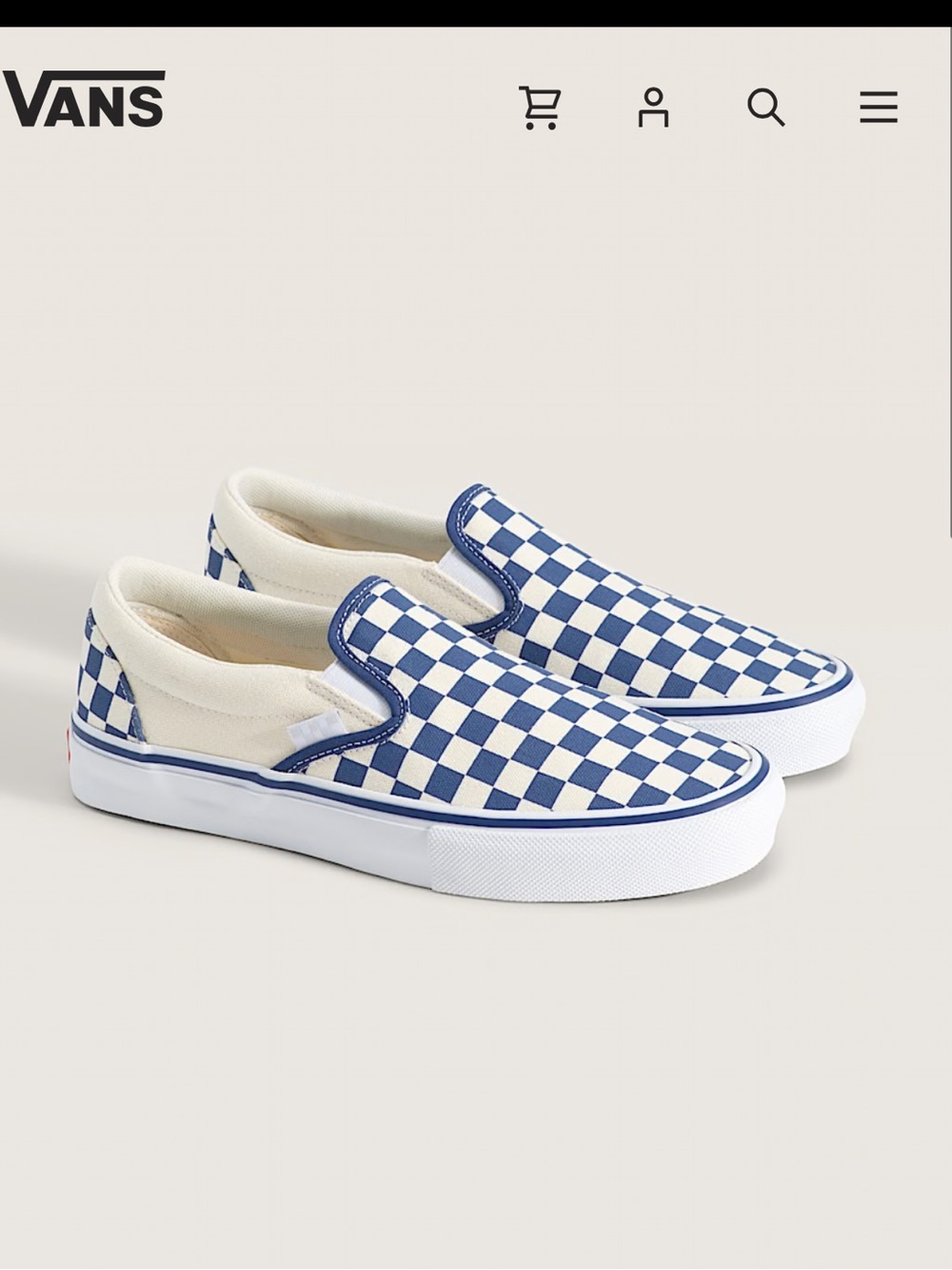 Vans skate slip on shoe